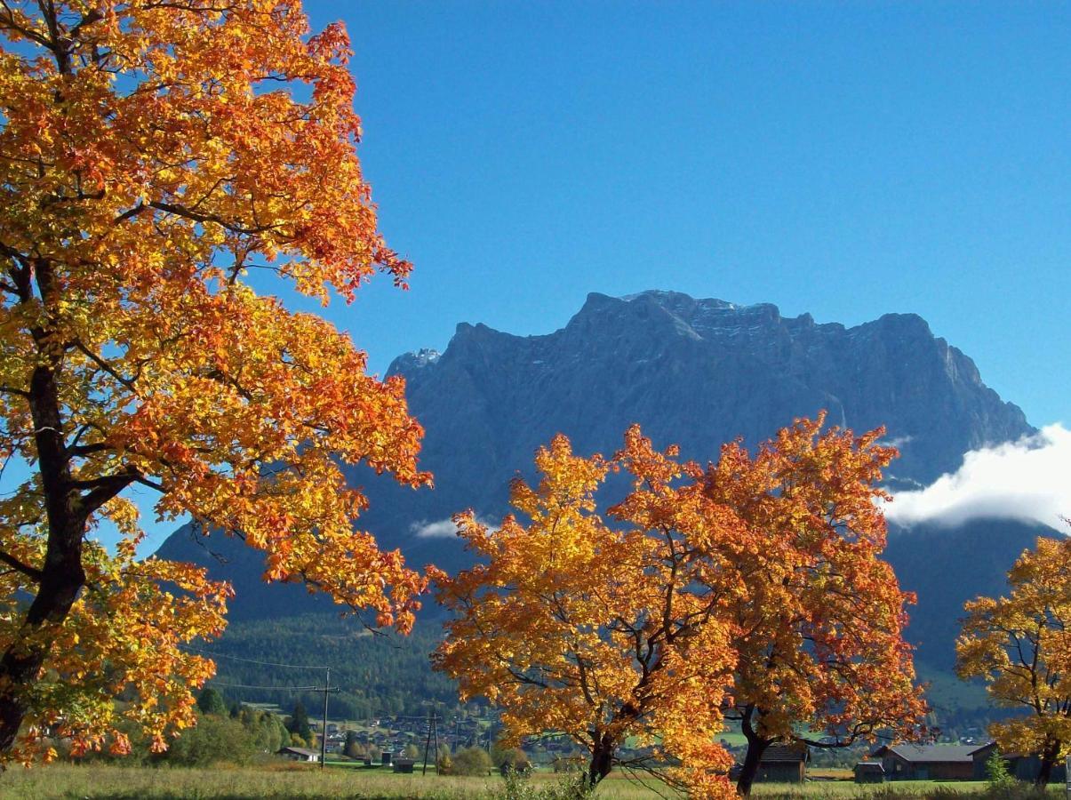 Chalet Danninger Ehrwald Dış mekan fotoğraf