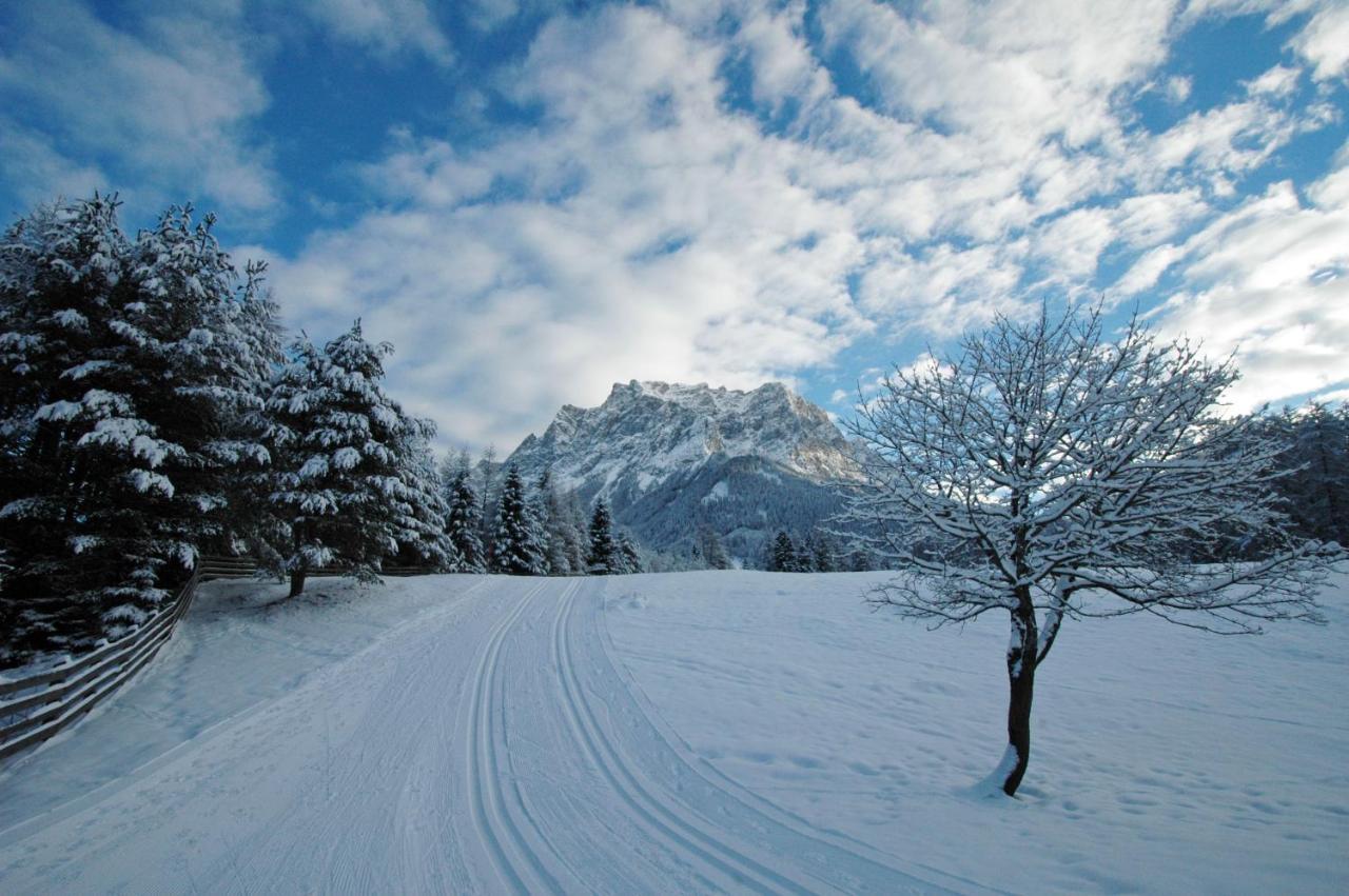 Chalet Danninger Ehrwald Dış mekan fotoğraf